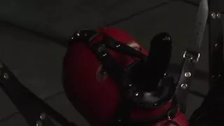 Kaia Kane an experienced woman loves to take it in the pussy