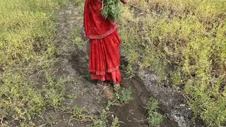 Desi aunty ki pussy , full sexy