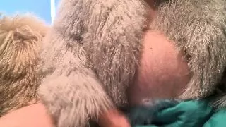 Fur Masturbation