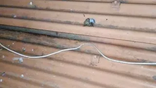 Piss shows off crazy on the roof, standing and completely naked on the 3rd floor