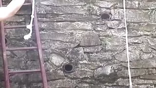 Outdoors domination turns wild