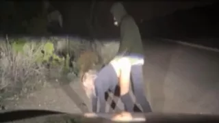 baisée face aux phares de la voiture