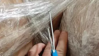 Sucking on the clitoris