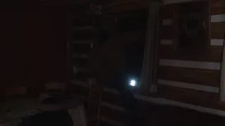 Hot threesome fuck in the kitchen with two hot chicks