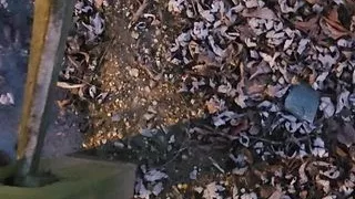 Enjoying a late night walk