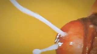 who all want this deep down inside their vagina? Comment fast..