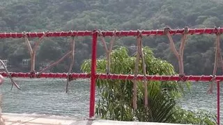 My roommate a German whore with a lot of hair on her pussy