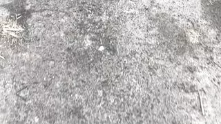 How to find used condoms?