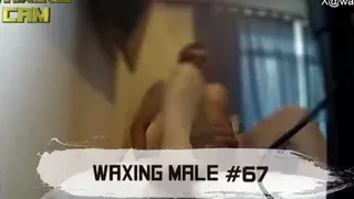 #67 Male Waxing