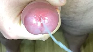 Close up cock edging cum