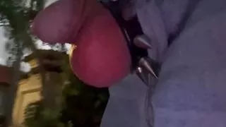 Grass Day and Cock Ring