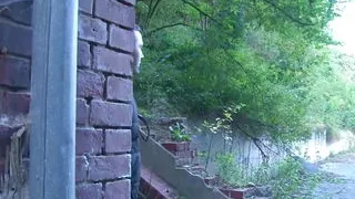 Area 69 escape  from the sex zone movie - German DVD