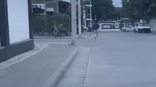 EmmaNataly Transexual