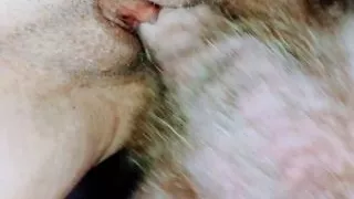 Jamming My Big Cock in Her Pussy