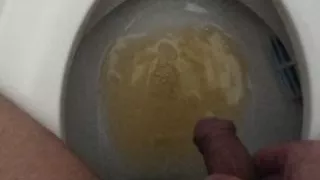 QUICK PEE IN TOILET,close up view