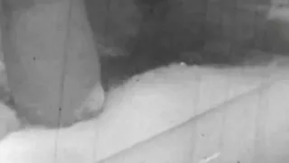 BLACK AND WHITE CUTIES - Full Vintage Movie