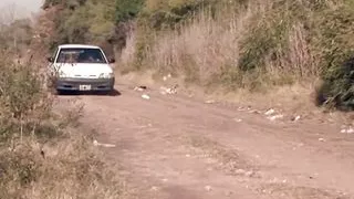 Busty blonde shemale sucks her lover&#039;s cock in