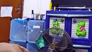 I beg you not to crot in my