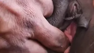 Me and My Boyfriend Have Sex