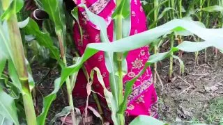 Outdoor jungle my bhabhi and me sex