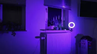 Can't get enough of daddy