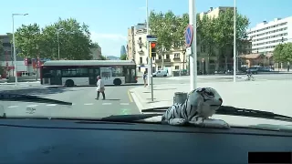 Im Auto fickt das prallbusige Luder