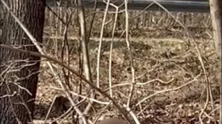 Crossdressing in the forest next to busy road