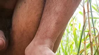 Desi Hot Indian Boy Pissing from his Big Dick.