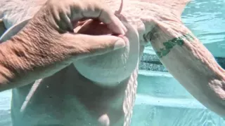 Overunderwater Pool Shots and a Long, Slow-mo Outdoor Shower
