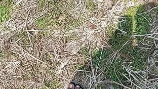 Mumbai ki jungle me hairy remove my wife pussy