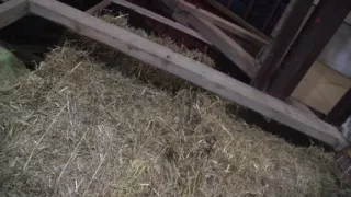 Hot babe with big boobs has sex in farmhouse