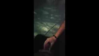 Giving the Pool Guy a Handjob for Payment