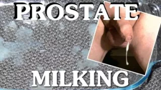 Massive Cum on Glorious Prostate Massage