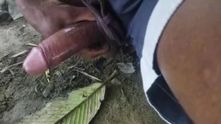 Big Cook & Fan Videos