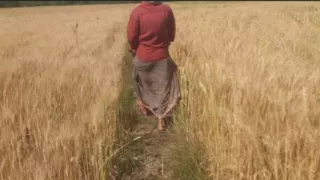 Beautiful sister-in-law cut fodder in the wheat field, brother-in-law fucked big fat ass in sister-in-law's mouth in the open forest