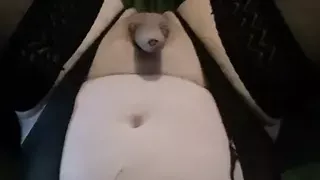 Piggy cumdumpster 4 breeding