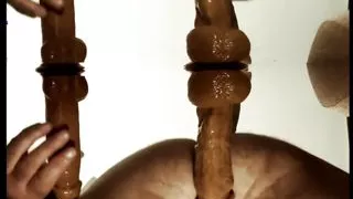 Bear Frotting With Two Cocks Below View Mirrored