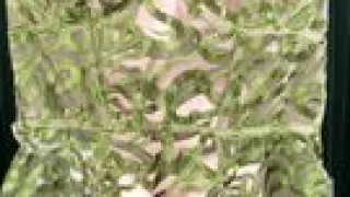 Studio Pia Lingerie Try on Video