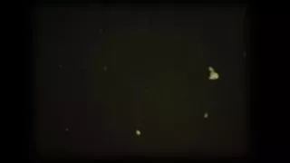 ImmorTal Game: Erotic Tribute to the Noble Chess Game! AnalSex and Wooden Toy Trailer