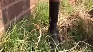 Ebony German bitch rides BBC in this rough outdoor action