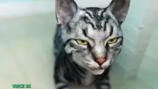 Welcome to Free Will - #42 - Car Blowjob by Redlady2k