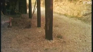 The Truck Driver - Part 02