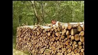 Busty Brunette Fucks Hard Cock Outdoors