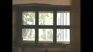 Porn with Very Beautiful MILFs in Lingerie with Hairy Pussy Cumshots on Tits