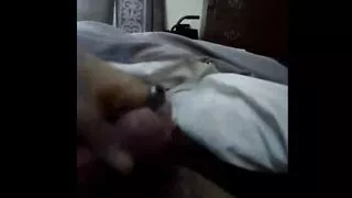 Kevy 69's What I've been up to Vol.1