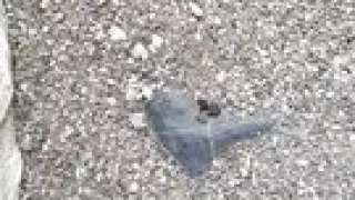 Pee Compilation. 15 Mins From Myself Peeing Everywhere