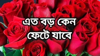 Bangla choti golpo full story in Bangla audio choto golpo beautiful mature saree chachi cheating hasband full story in Bangla