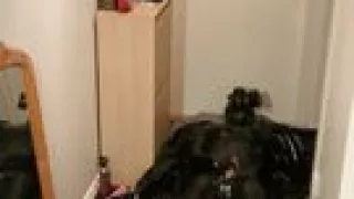 Latex, gasmask and hunter boots