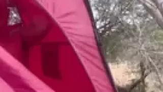 Camping Gone Wild - Latina Gives Surprise Oral & Ends up Getting Fed
