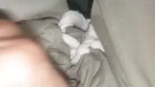 I am uploading a new video of my beautiful 8inche